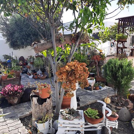 Apartamento Tranquilo Плая Бланка Екстериор снимка